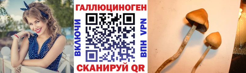 Псилоцибиновые грибы прущие грибы наркота Артёмовский